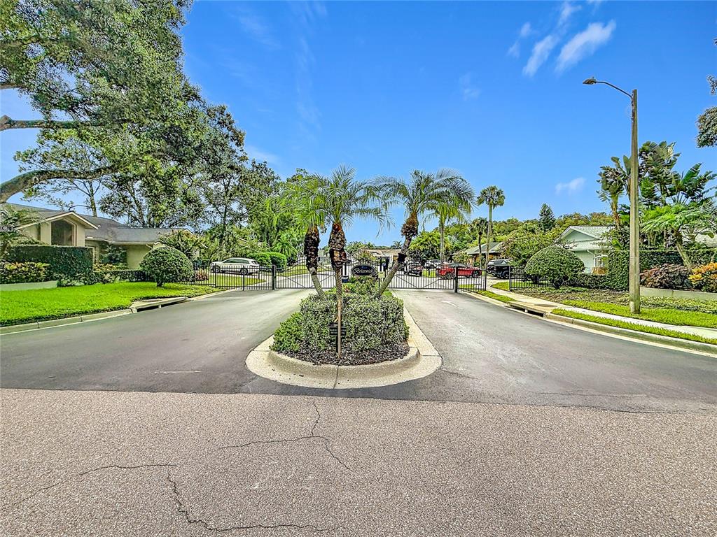 A gated entrance with a landscaped median featuring palm trees and a paved road — 3097 EDGEMOOR DRIVE, PALM HARBOR, FL