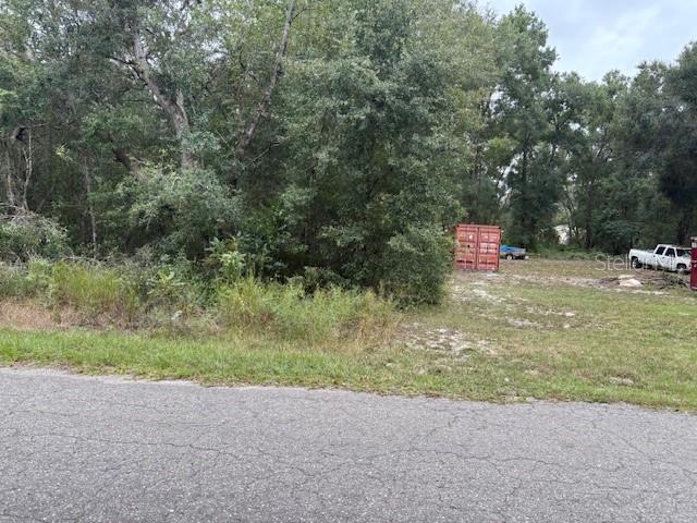 A view of a vacant, partially wooded lot from an adjacent paved road — FISHER LANE COURT, OCKLAWAHA, FL
