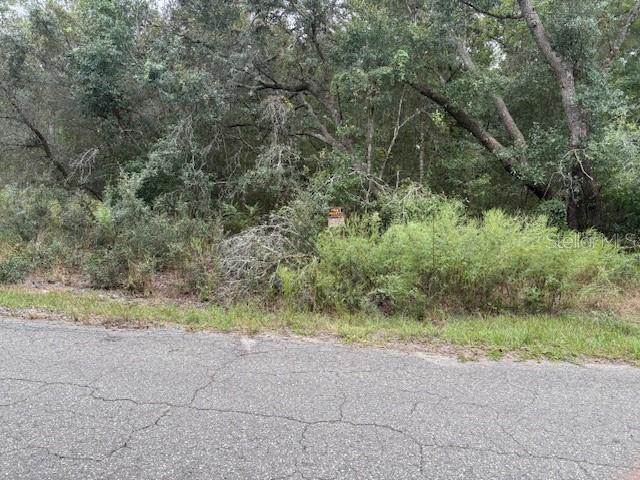 A paved road runs in front of a densely wooded, undeveloped lot — FISHER LANE COURT, OCKLAWAHA, FL