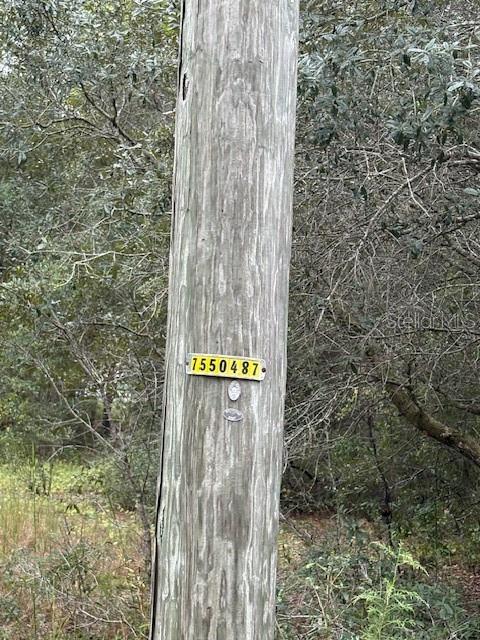 A utility pole stands in a wooded area with a yellow identification tag attached — FISHER LANE COURT, OCKLAWAHA, FL