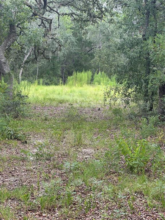 5730 SE COUNTY ROAD 337