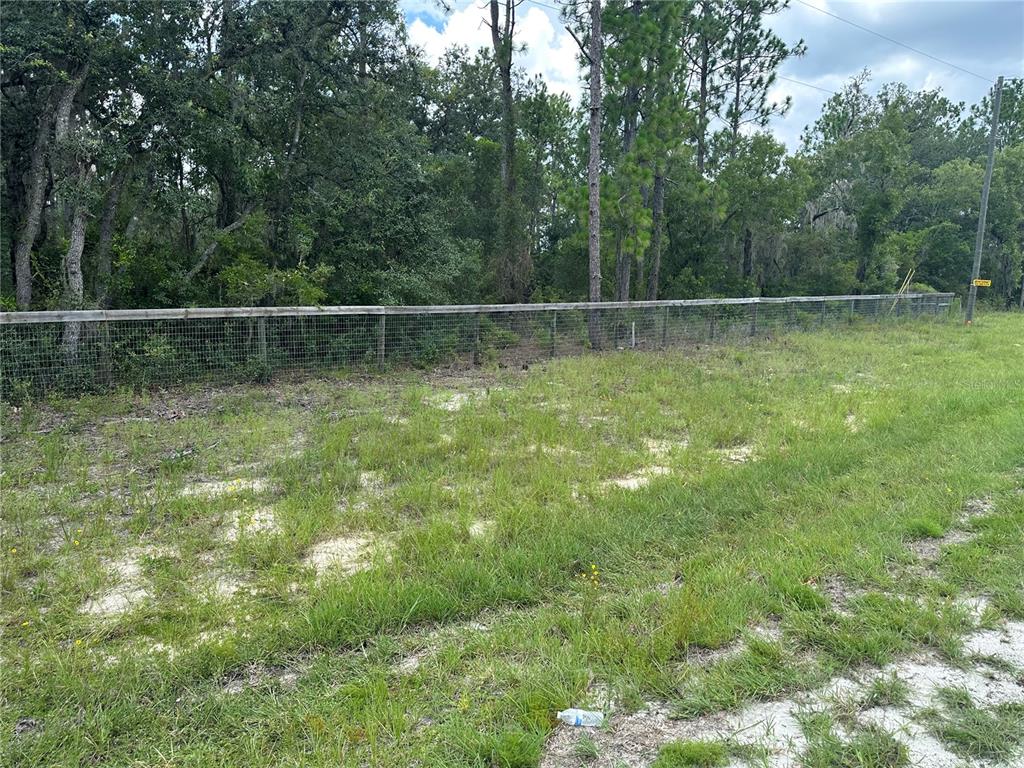 A wire fence runs along the edge of a grassy, wooded lot — 5730 SE COUNTY ROAD 337, MORRISTON, FL