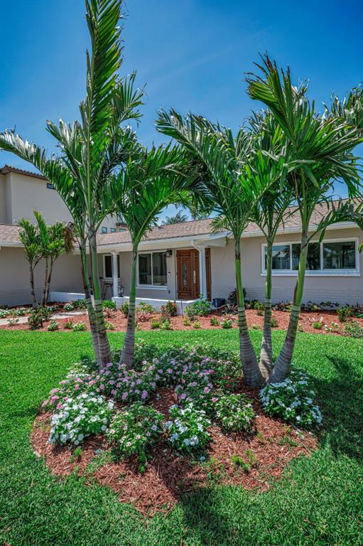 A single-story house with a palm tree garden in the front yard — 11800 7TH STREET E, TREASURE ISLAND, FL