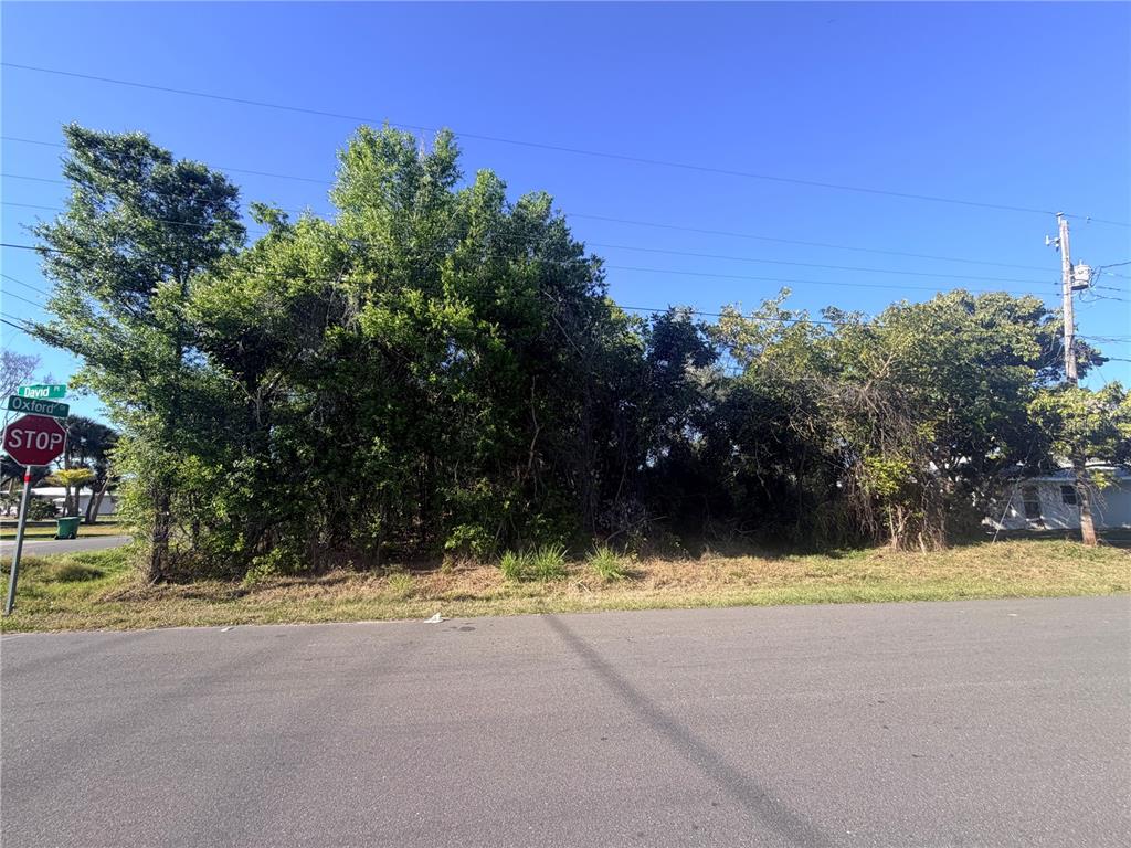 A vacant, tree-covered corner lot is situated at the intersection of two paved streets — 901 OXFORD DRIVE, ENGLEWOOD, FL