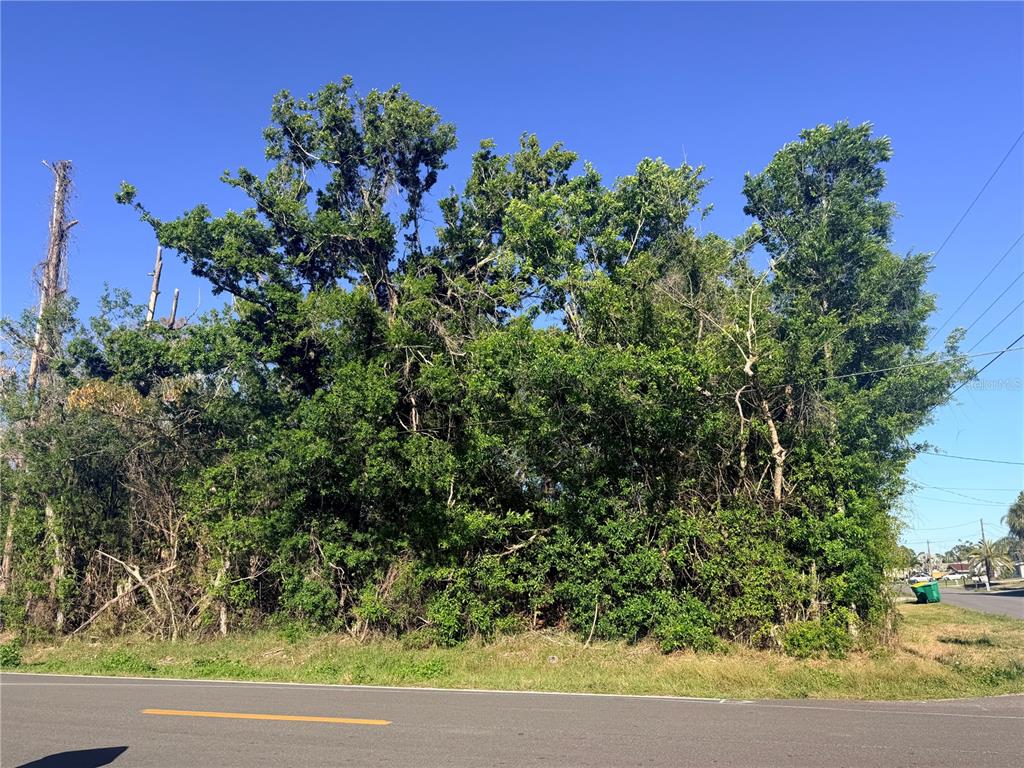 A dense cluster of trees and vegetation sits along the edge of a paved road — 901 OXFORD DRIVE, ENGLEWOOD, FL