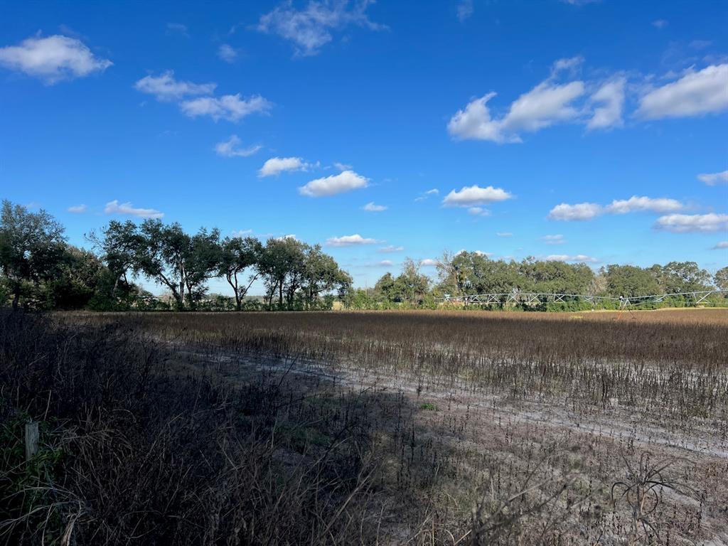 A large, harvested agricultural field sits under a blue sky with scattered clouds — NE 150 STREET, TRENTON, FL