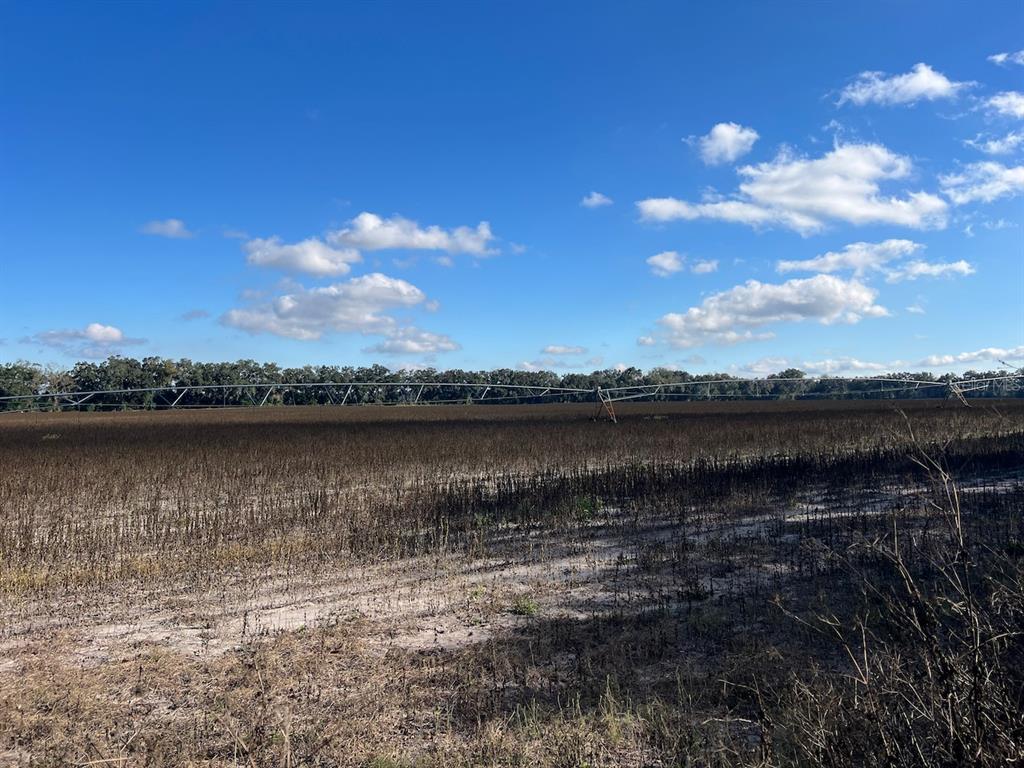 A large agricultural field features a center pivot irrigation system under a blue sky — NE 150 STREET, TRENTON, FL