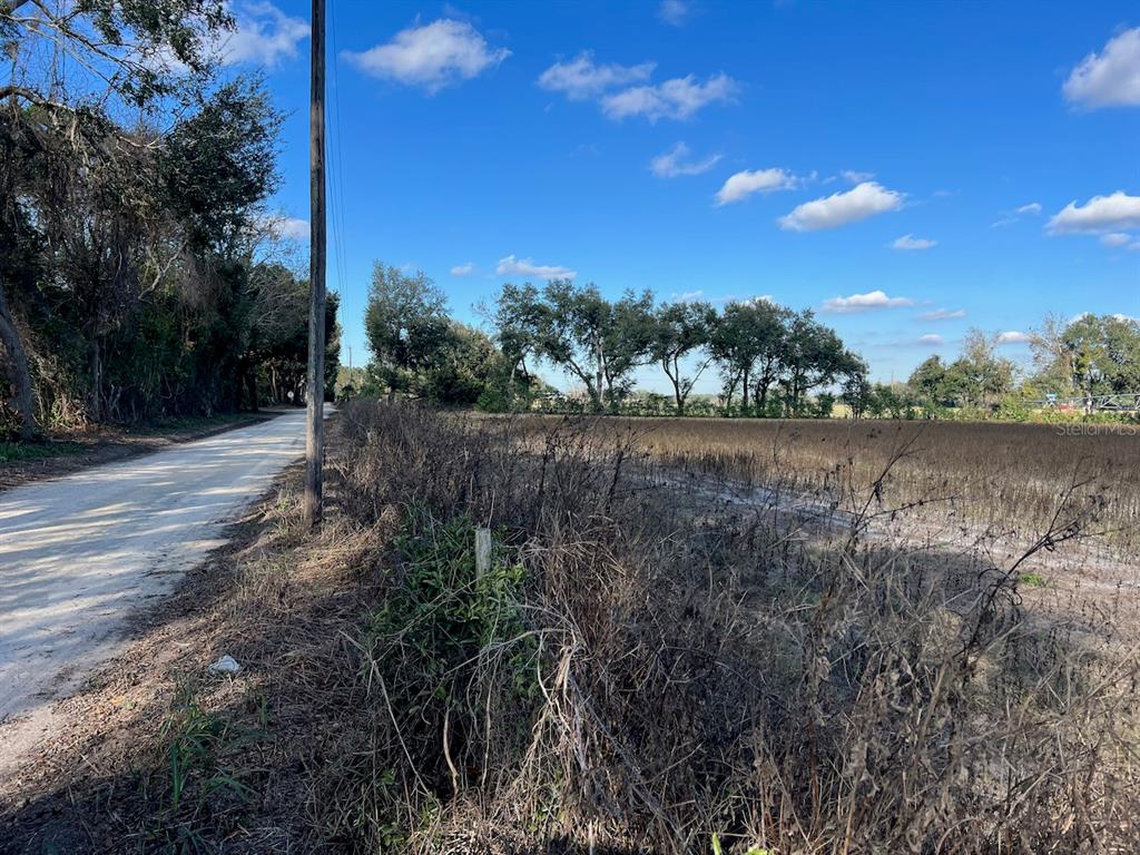 A dirt road runs alongside a dry, open field under a blue sky with clouds — NE 150 STREET, TRENTON, FL