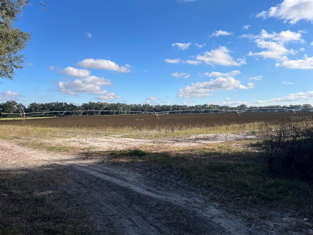 A large agricultural field features a long center-pivot irrigation system under a blue sky — NE 150 STREET, TRENTON, FL