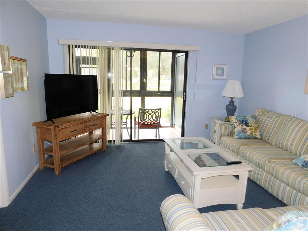 A living room features blue carpeting, light blue walls, a striped sofa, and a glass-topped table — 111 E CYPRESS COURT UNIT 111, OLDSMAR, FL