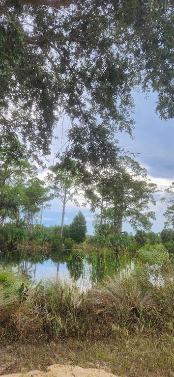 A small pond surrounded by trees and tall grasses under a cloudy sky — Lot 7 SW 104 STREET, CEDAR KEY, FL