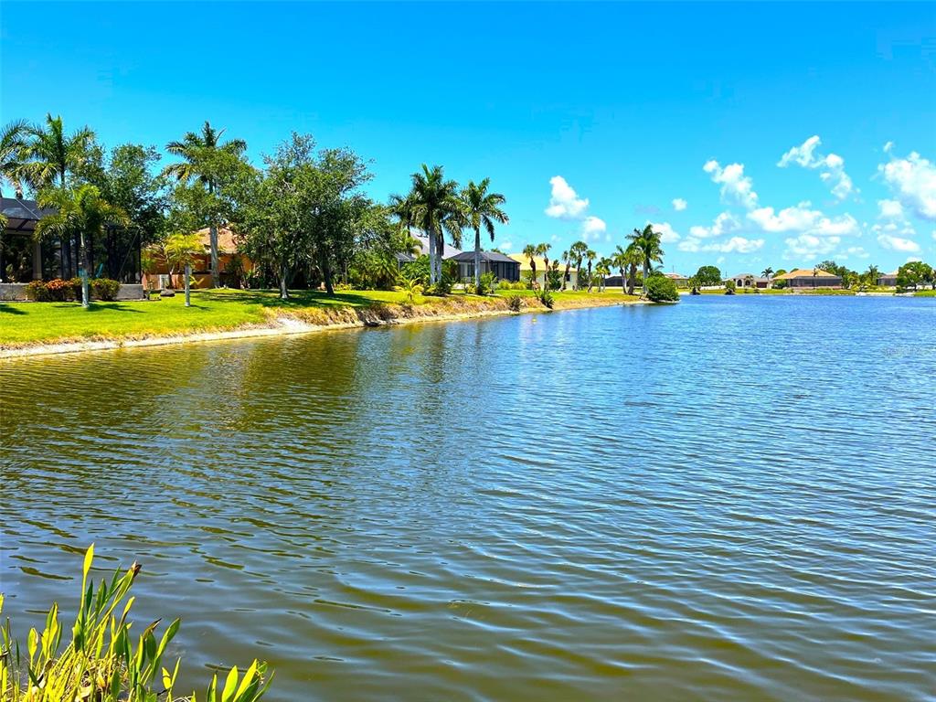A view of a lake bordered by a grassy lawn, palm trees, and residential houses — 16451 CAPE HORN BOULEVARD, PUNTA GORDA, FL