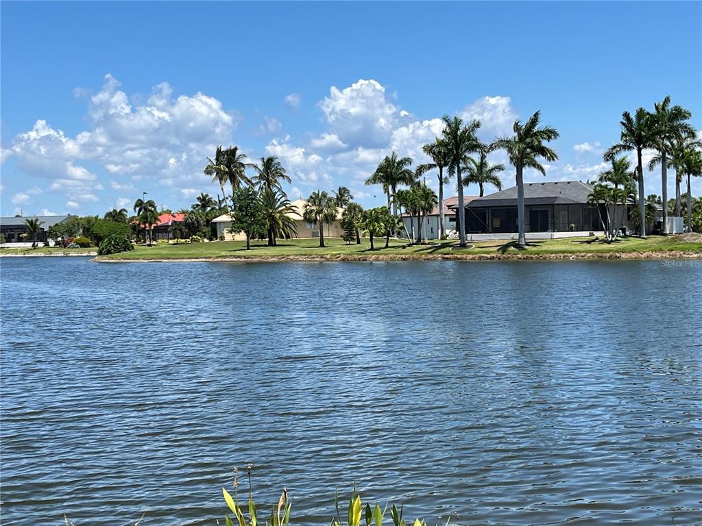 A view of a lake with houses and palm trees along the grassy shoreline — 16451 CAPE HORN BOULEVARD, PUNTA GORDA, FL