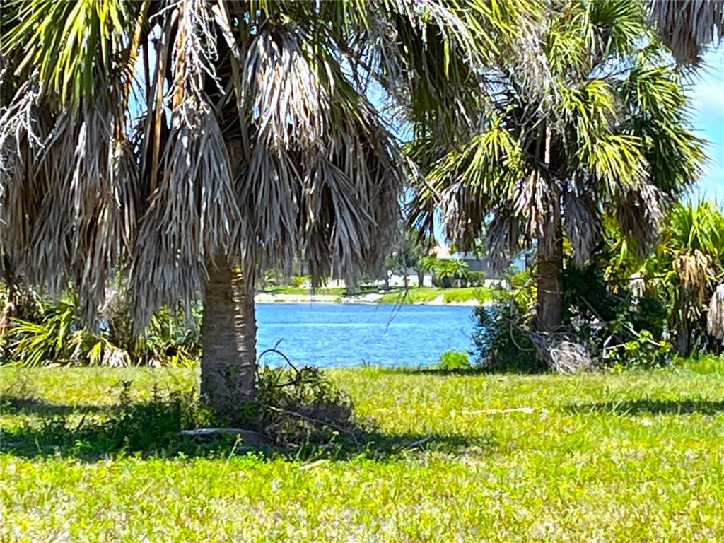 A view of a blue lake framed by two palm trees in a grassy yard — 16451 CAPE HORN BOULEVARD, PUNTA GORDA, FL