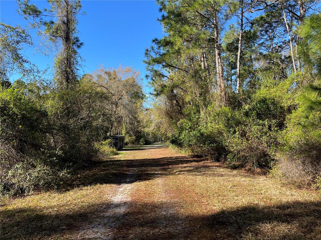 A dirt path leads through a wooded area with dense trees and shrubs — 208 SE 3RD STREET, GEORGETOWN, FL
