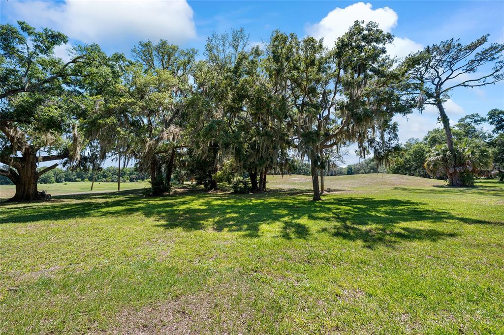 A large, grassy lot features several mature oak trees draped with Spanish moss — 749 MIDWAY DRIVE UNIT A, OCALA, FL