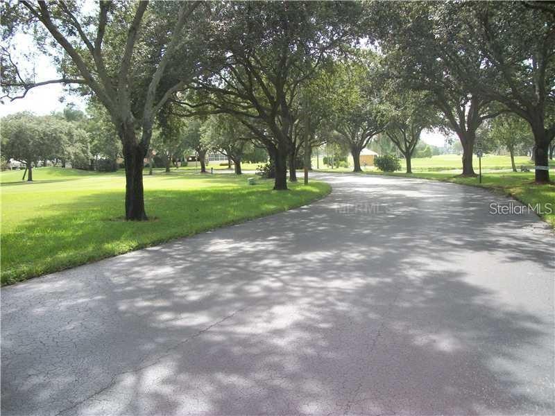 A paved road curves through a grassy area lined with large, mature oak trees — 4410 FAIRWAYS BOULEVARD UNIT 602-11, BRADENTON, FL