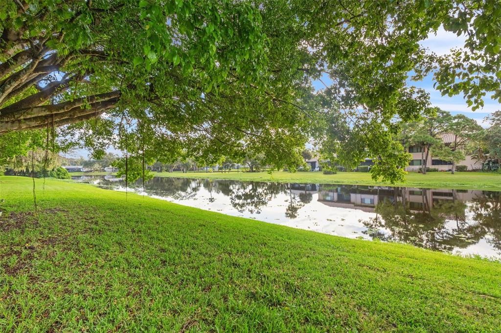 9669 86TH AVENUE UNIT 9669, SEMINOLE, FL — photo 4 of 30