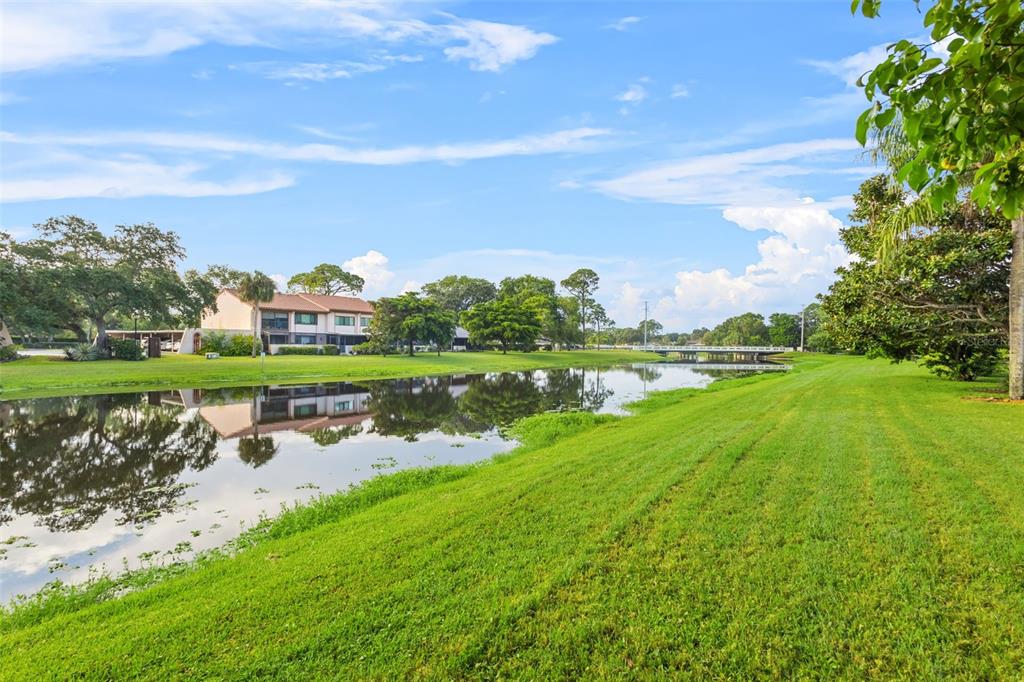9669 86TH AVENUE UNIT 9669, SEMINOLE, FL — photo 5 of 30