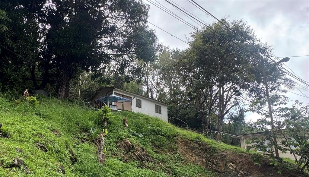 A small white house sits on a grassy hillside surrounded by mature trees — Carr. 344, Km. 1.2 BARRIO GUANAJIBO, HORMIGUEROS, PR