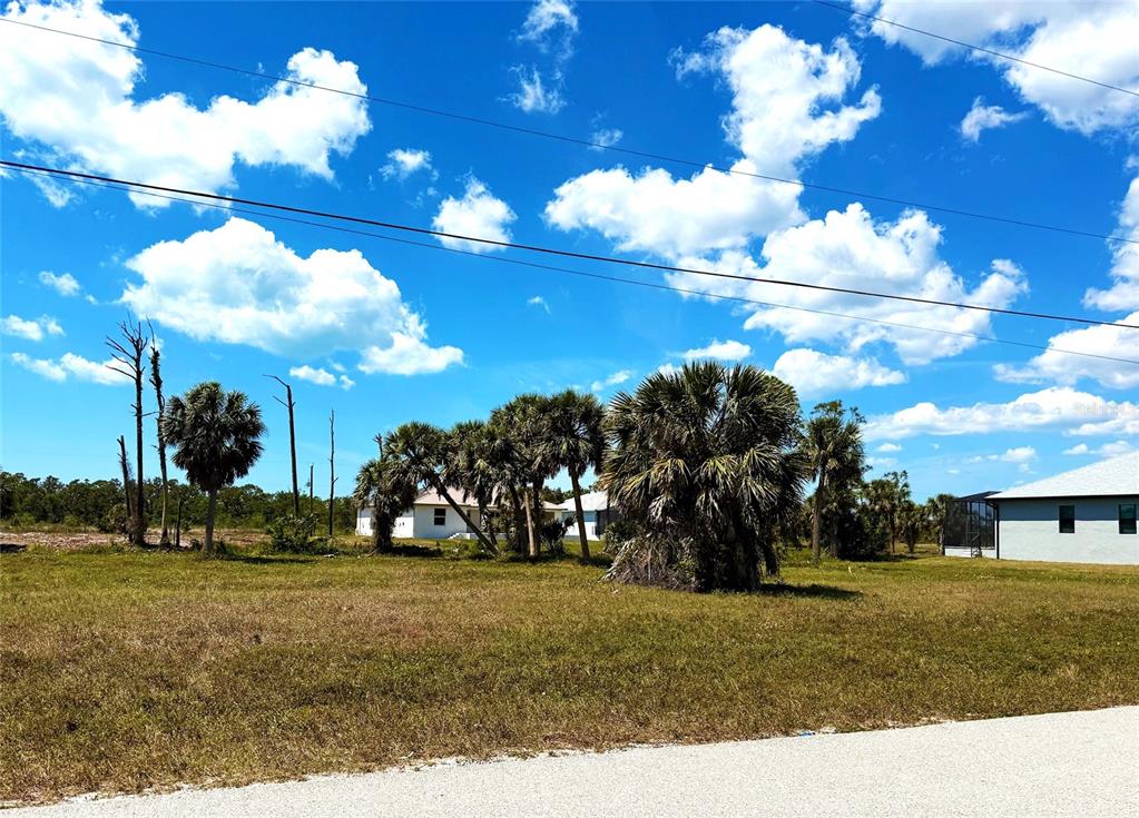 A grassy vacant lot features several palm trees and a distant house under a blue sky — 241 W PINE VALLEY LANE, ROTONDA WEST, FL