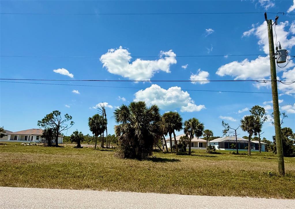 A grassy vacant lot with palm trees and nearby houses under a blue sky — 241 W PINE VALLEY LANE, ROTONDA WEST, FL