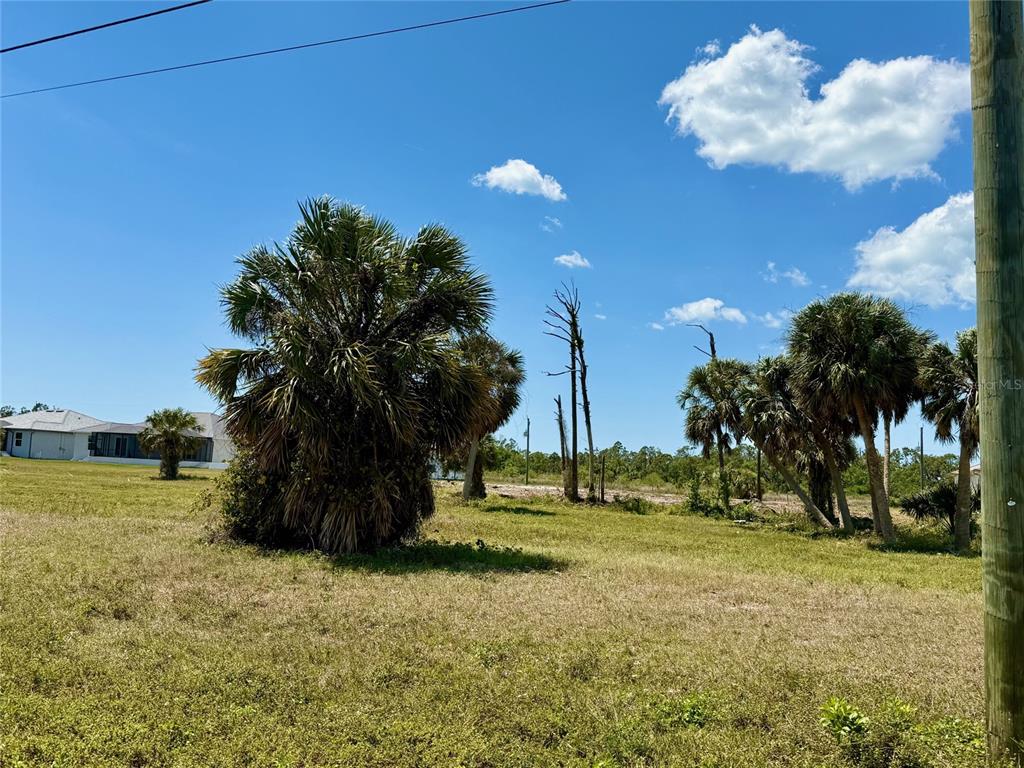 A grassy, vacant lot features several palm trees under a bright blue sky — 241 W PINE VALLEY LANE, ROTONDA WEST, FL