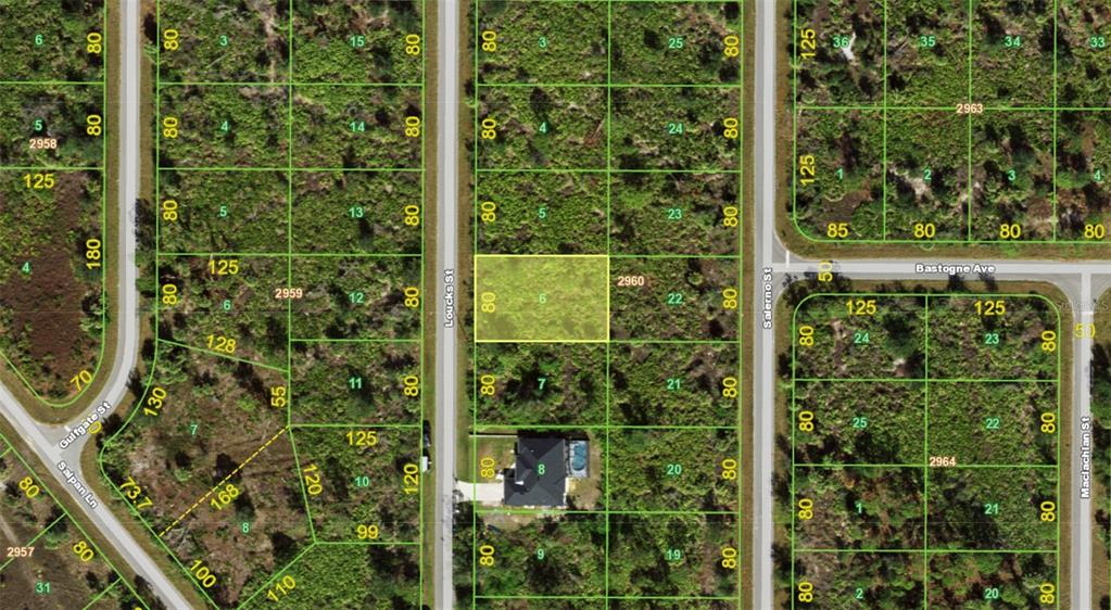 This is a map showing a highlighted rectangular plot of land among other vacant lots — 2356 LOUCKS STREET, PORT CHARLOTTE, FL