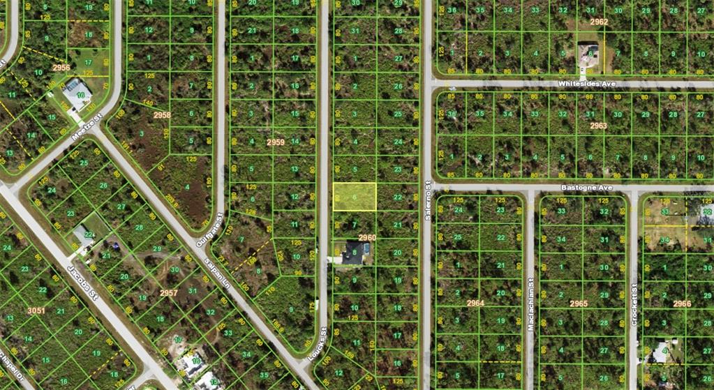 This is a satellite map showing residential land parcels and street layouts — 2356 LOUCKS STREET, PORT CHARLOTTE, FL