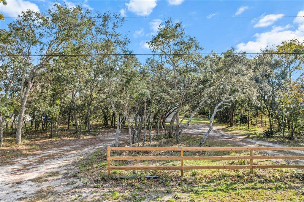 A wooden fence stands in front of a wooded lot with a dirt driveway — 5114 W ROCHELLE STREET, HOMOSASSA, FL