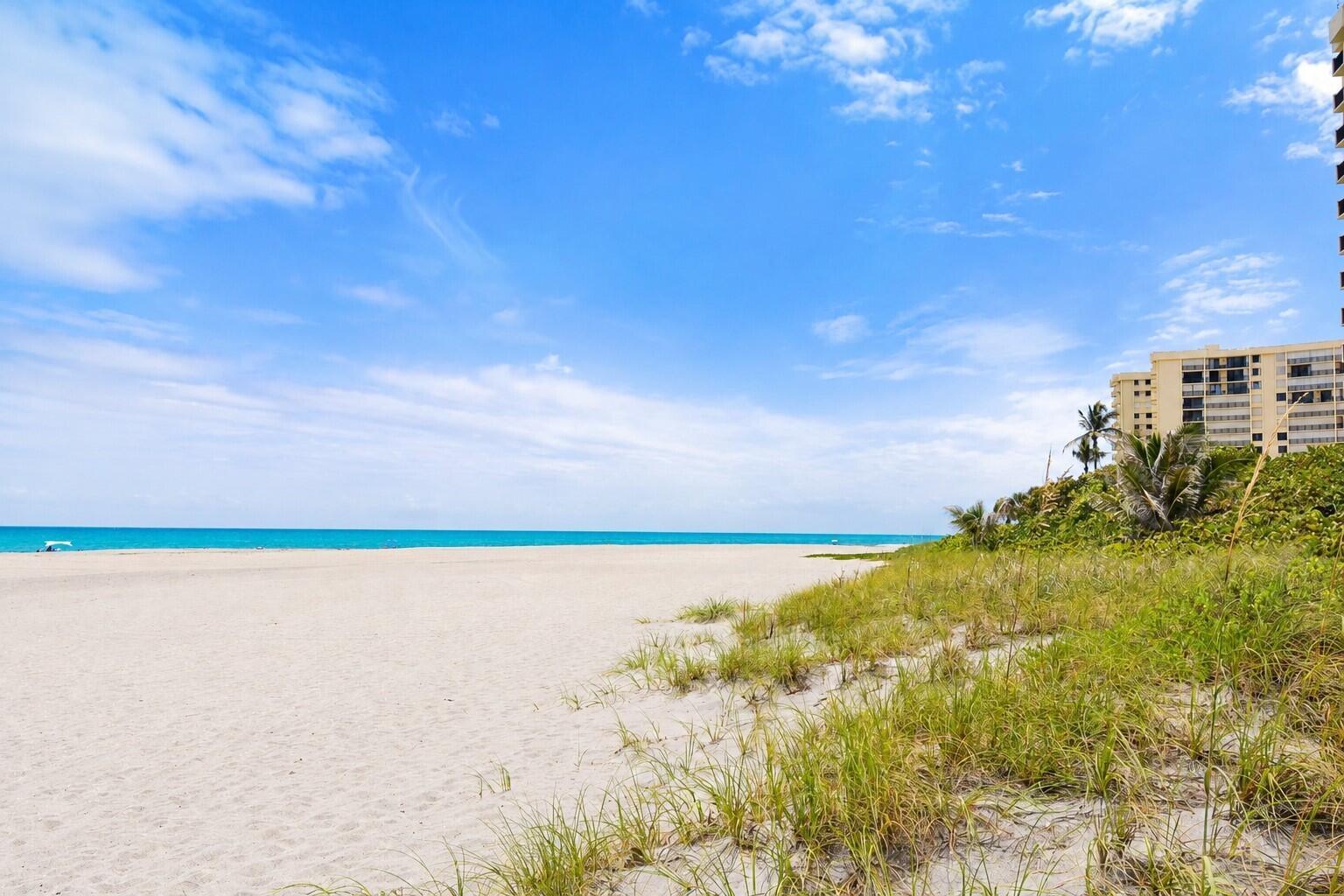 A sandy beach with dune grass leads to the ocean near a tall residential building — 400 Ocean Trail Way # 205, Jupiter FL 33477, JUPITER, FL