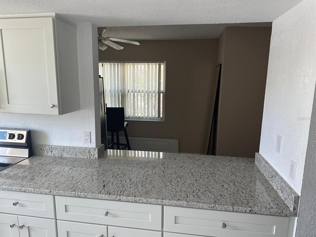 A kitchen features white cabinets, granite countertops, and a pass-through window overlooking a dining area — 2409 BARLEY CLUB DRIVE UNIT 3, ORLANDO, FL