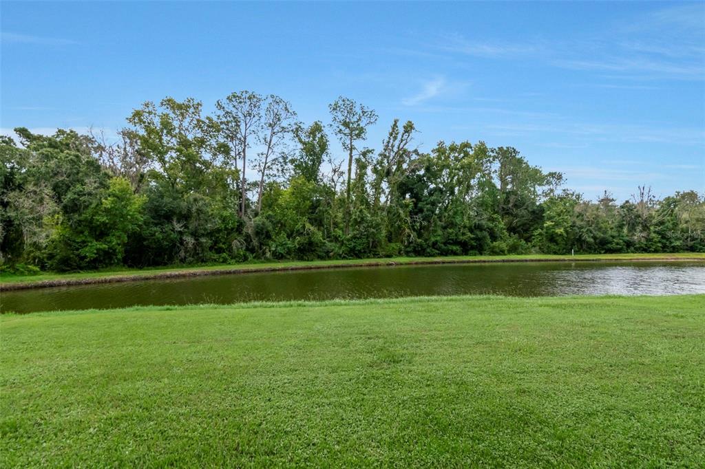 A grassy lawn leads to a pond bordered by a dense line of trees — 27512 BREAKERS DRIVE, WESLEY CHAPEL, FL