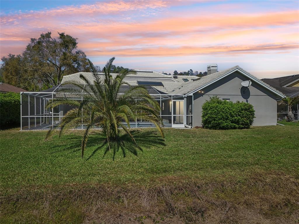 A rear view of a single-story house with a screened-in pool enclosure and palm tree — 954 COBBLESTONE LANE, TARPON SPRINGS, FL