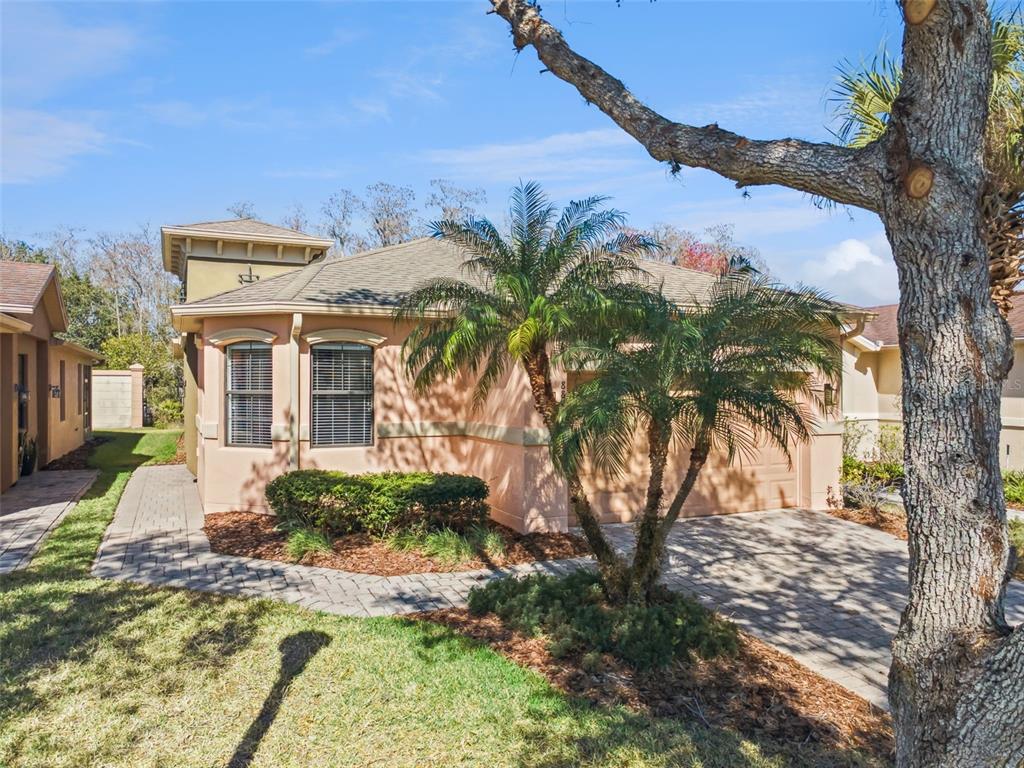 A single-story house with a peach stucco exterior, a paved driveway, and a palm tree — 884 GRAND CANAL DRIVE, KISSIMMEE, FL