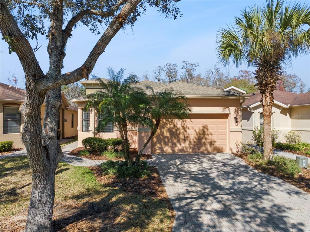 A single-story house with a tan stucco exterior, a paved driveway, and a two-car garage — 884 GRAND CANAL DRIVE, KISSIMMEE, FL