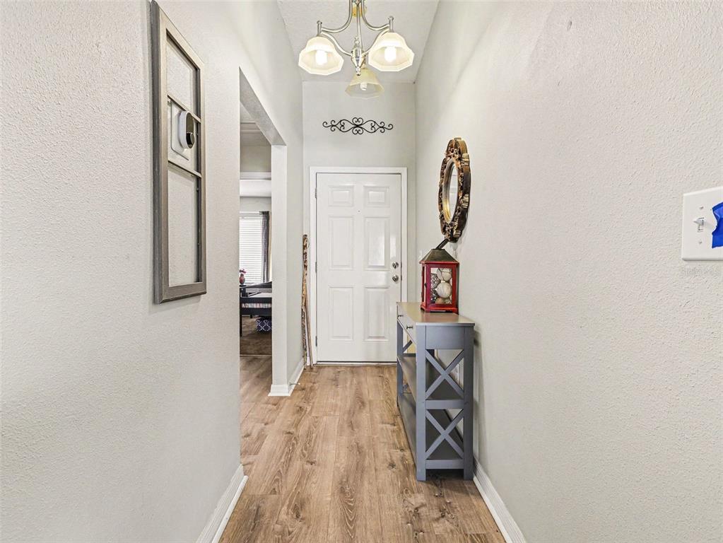 A hallway features wood-look flooring, a white front door, and a gray console table — 2620 BUCKHORN PRESERVE BOULEVARD, VALRICO, FL