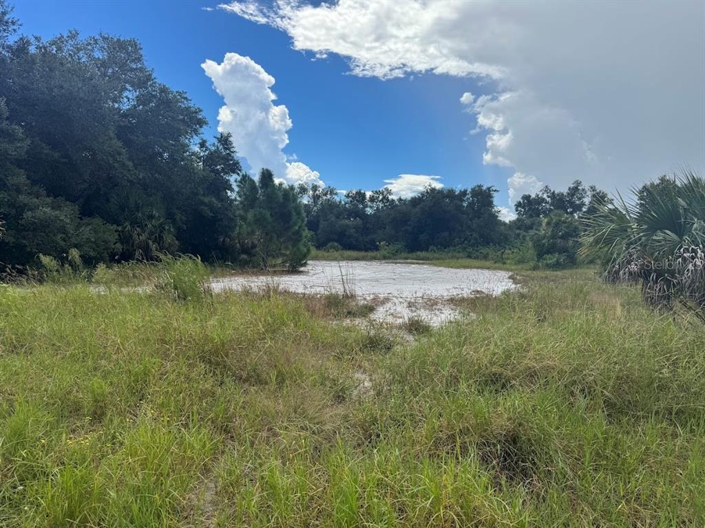 A grassy field leads to a small, shallow pond surrounded by trees under a cloudy sky — 20033 & 20041 BUCHANAN AVENUE, PORT CHARLOTTE, FL