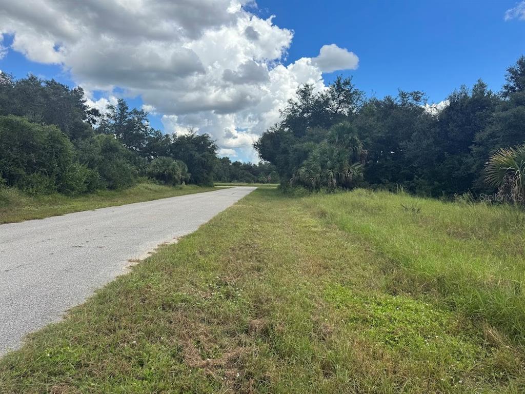 A paved road runs alongside a grassy lot bordered by trees under a cloudy sky — 20033 & 20041 BUCHANAN AVENUE, PORT CHARLOTTE, FL