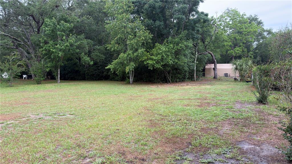 A large, grassy backyard features mature trees and a small storage shed in the distance — 4076 S OAKHURST DRIVE, HOMOSASSA, FL