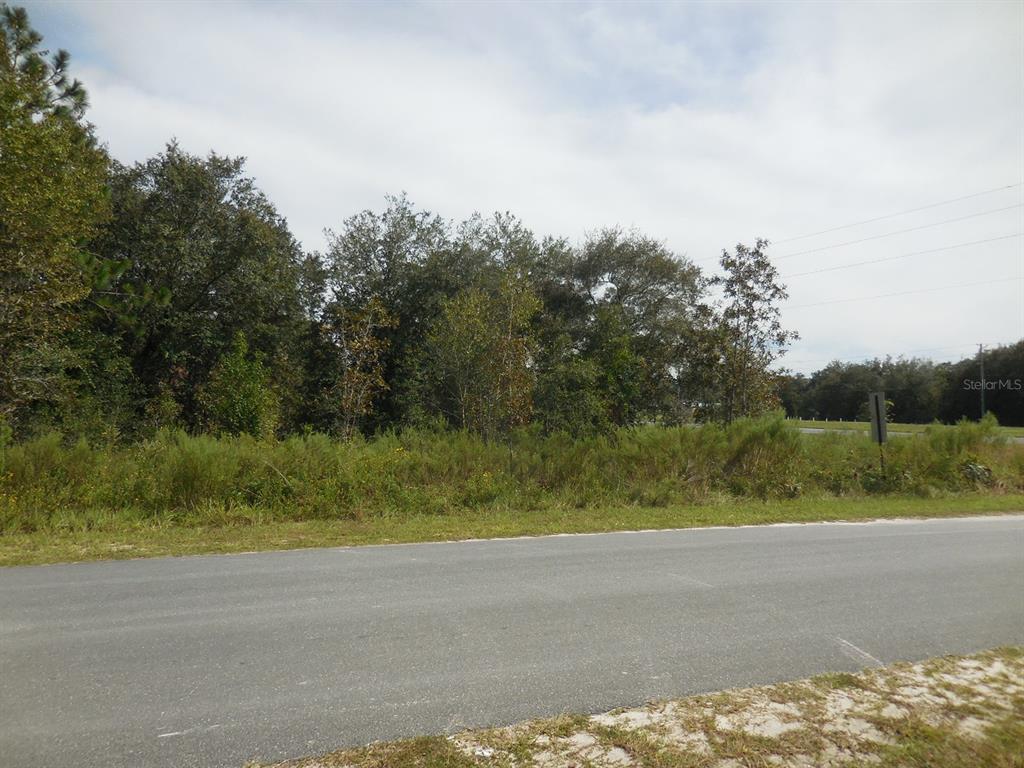 A paved road runs in front of a wooded lot with tall trees and brush — 6291 NE 112TH TERRACE, WILLISTON, FL