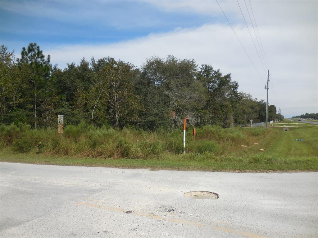 A vacant, wooded lot sits beside a paved road with a speed limit sign — 6291 NE 112TH TERRACE, WILLISTON, FL