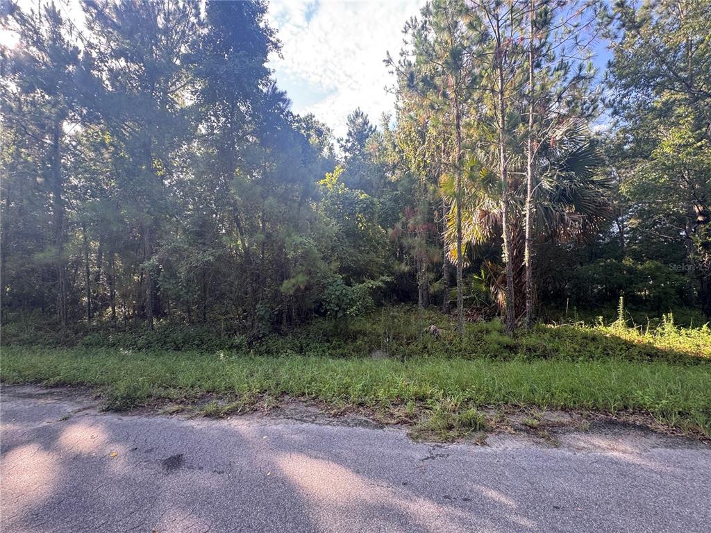 A view of a wooded, undeveloped lot from an adjacent paved road — TBD SEQUOIA LOOP DRIVE, OCKLAWAHA, FL