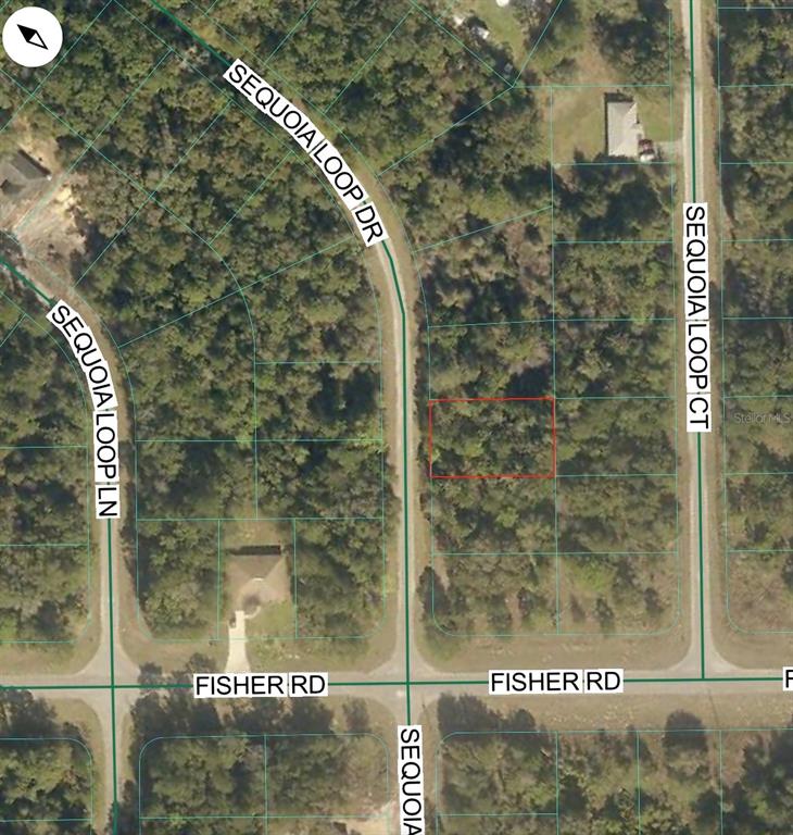 This is an aerial map showing a vacant, wooded lot highlighted in red — TBD SEQUOIA LOOP DRIVE, OCKLAWAHA, FL