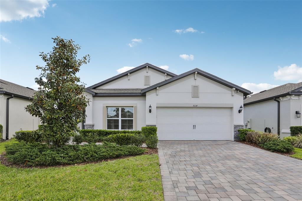 A single-story house with a white stucco facade, a two-car garage, and a paved driveway — 7114 GULF CYPRESS AVENUE, LAND O LAKES, FL