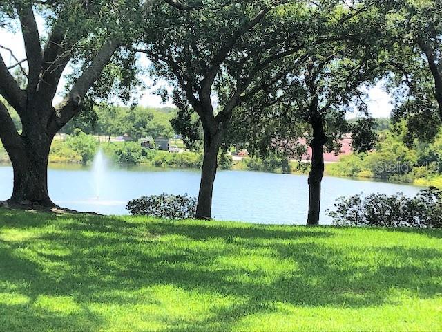 A grassy lawn overlooks a lake with a fountain framed by large oak trees — 2690 CORAL LANDINGS BOULEVARD UNIT 438, PALM HARBOR, FL
