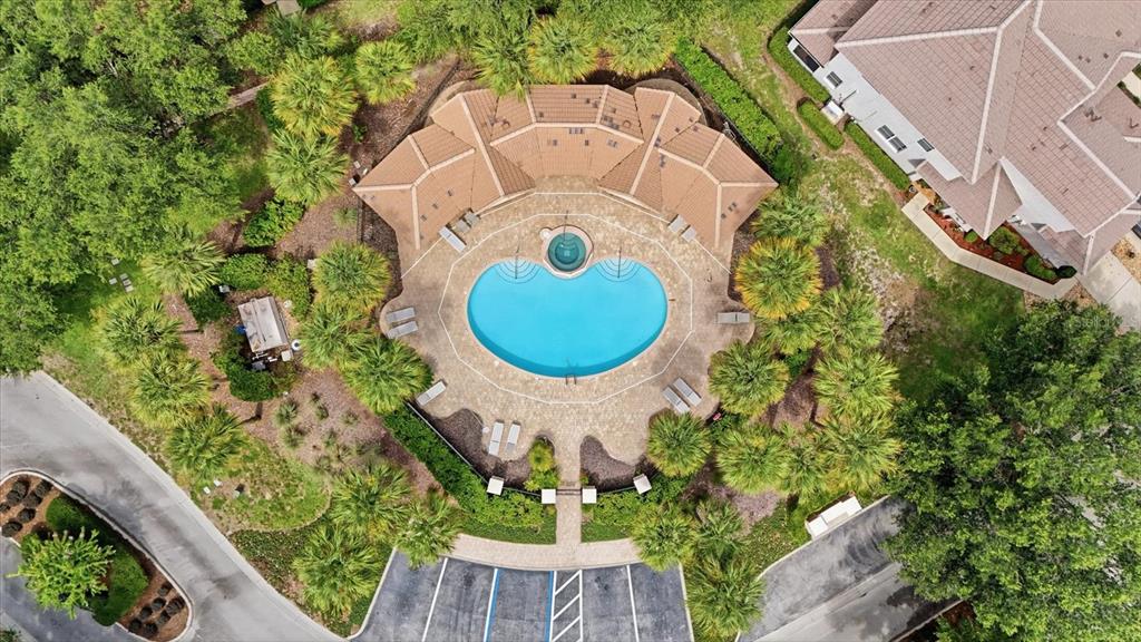 An aerial view shows a community swimming pool and hot tub surrounded by palm trees — 1668 W SPRING MEADOW LOOP, LECANTO, FL