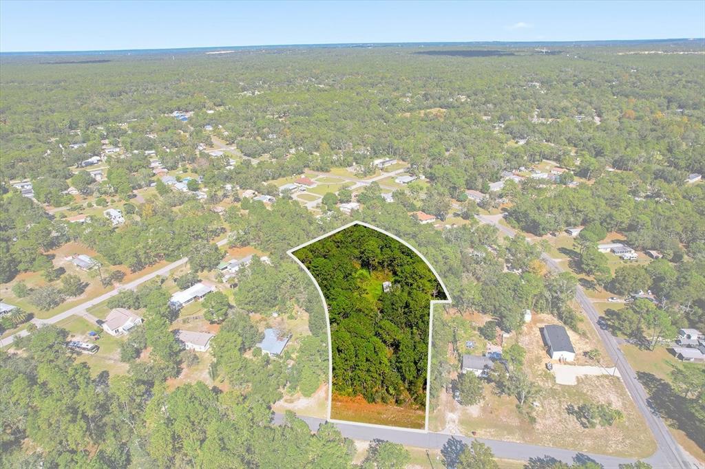An aerial view shows a wooded, irregularly shaped vacant lot bordered by a paved road — 3351 S JUNKET DRIVE, HOMOSASSA, FL