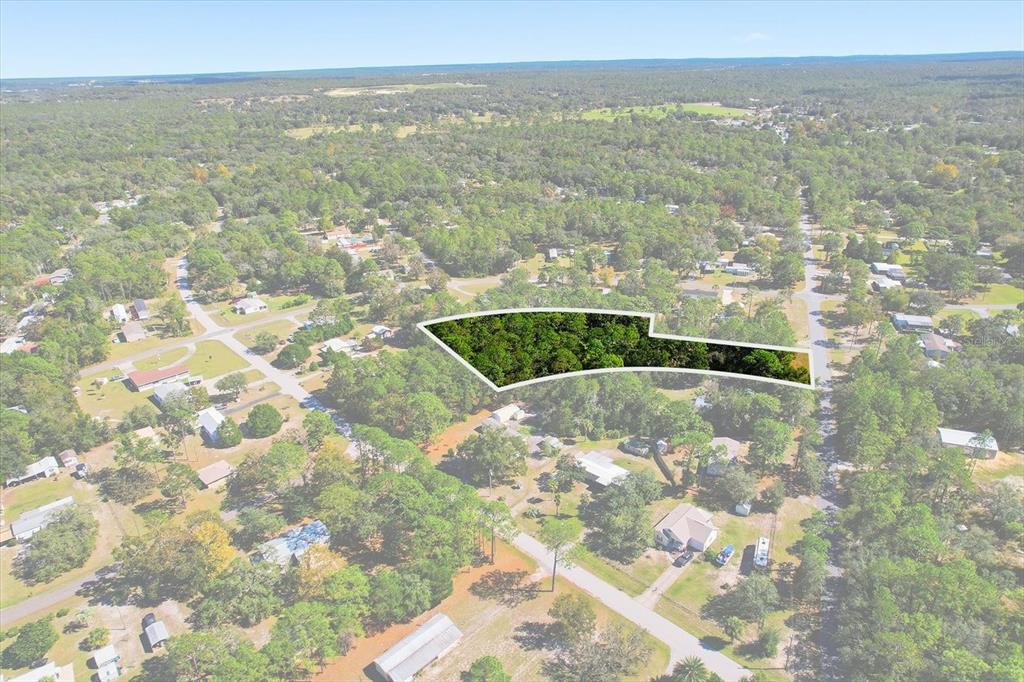 An aerial view shows a wooded, irregularly shaped lot highlighted in a residential neighborhood — 3351 S JUNKET DRIVE, HOMOSASSA, FL