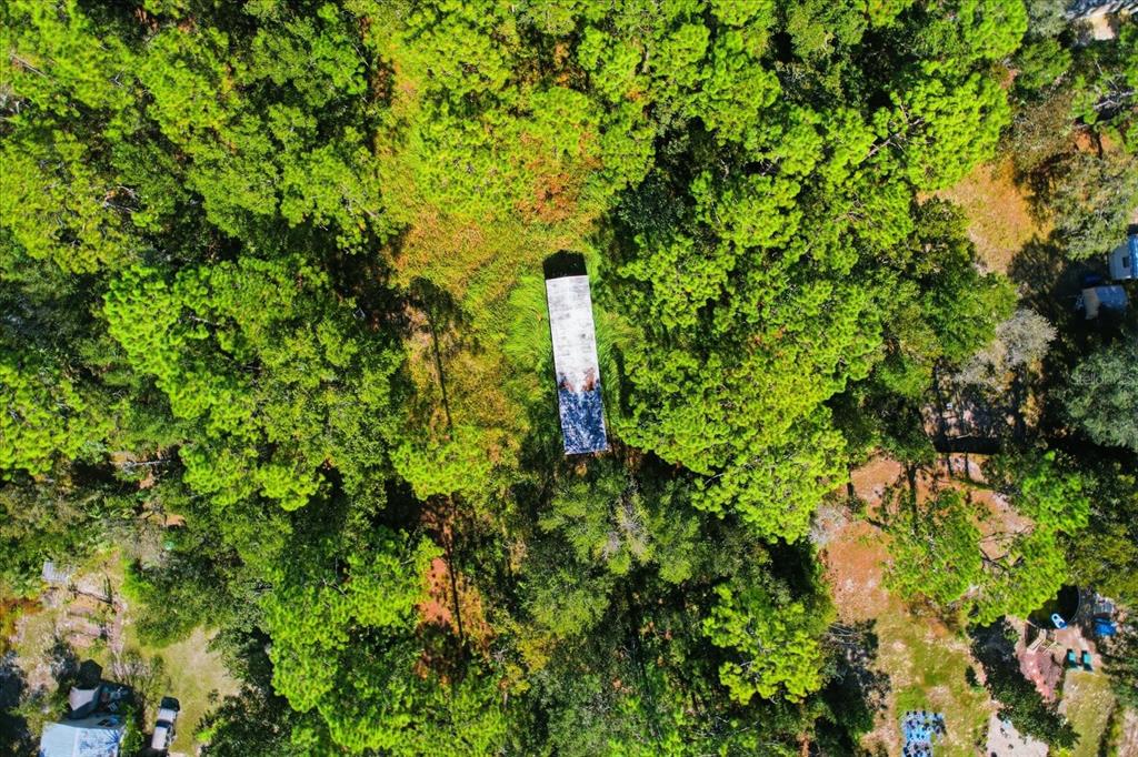 An aerial view shows a rectangular structure situated in the middle of a wooded lot — 3351 S JUNKET DRIVE, HOMOSASSA, FL